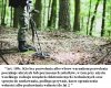 Sejm zaostrzył kary dla "nielegalnych"poszukiwaczy