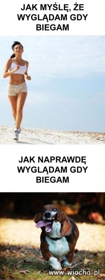 Tak to wygląda