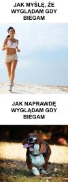 Tak to wygląda