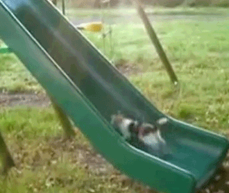 Ha ha ha. 