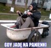 Wzrok kobiet...