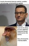 Swój pomoże swemu