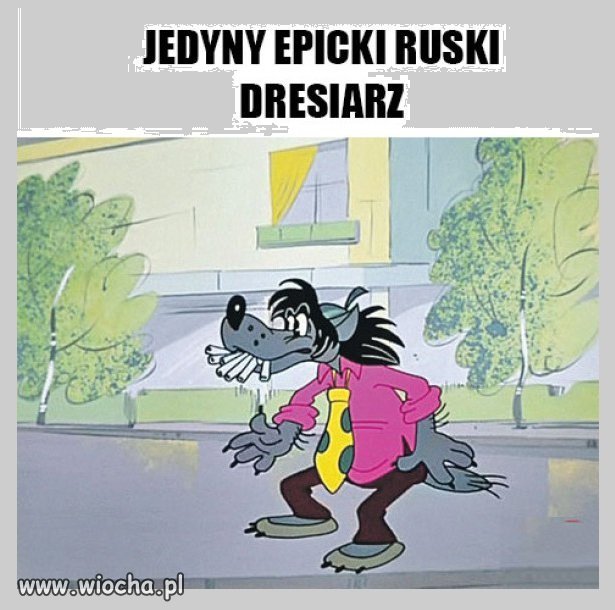Jedyny dresiarz