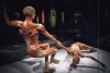   BODY WORLDS znów w Polsce