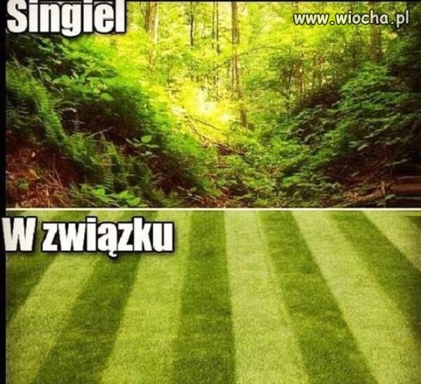 W związku