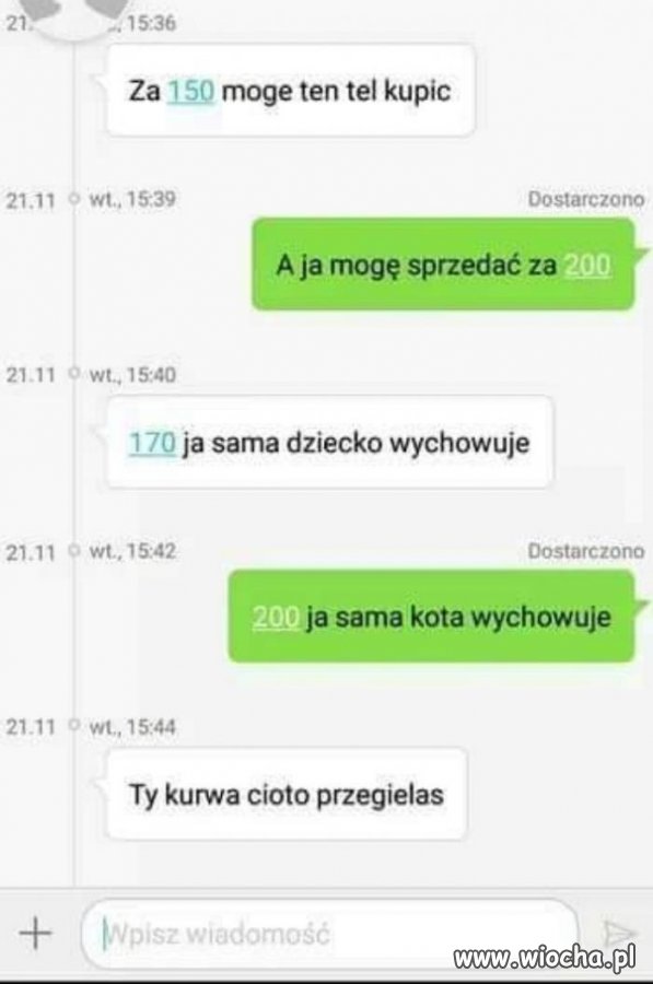 Sama kota wychowuje