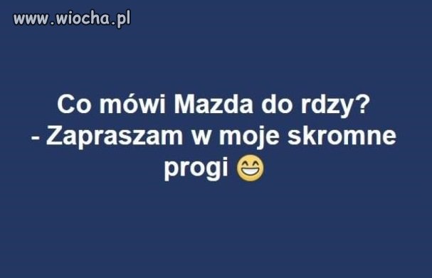 Coś w tym jest 