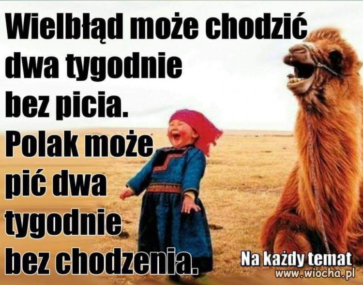 I wszystko w temacie 