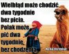 I wszystko w temacie 