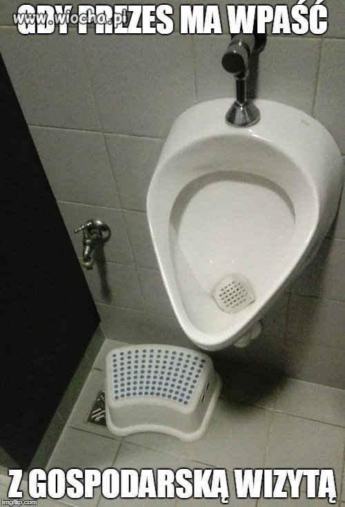 Porządny gospodarz 