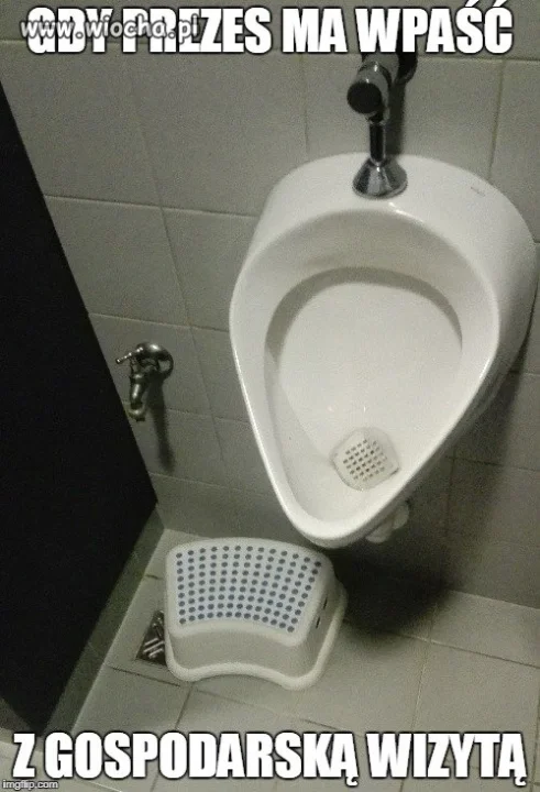 Porządny gospodarz 