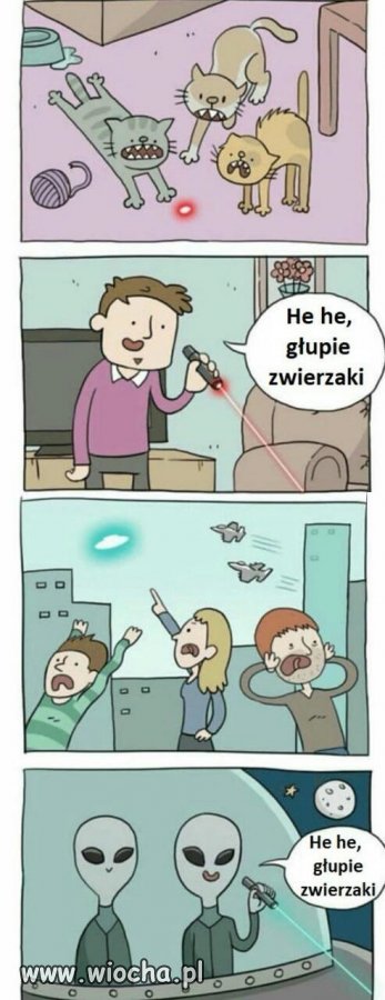 Głupie zwierzaczki