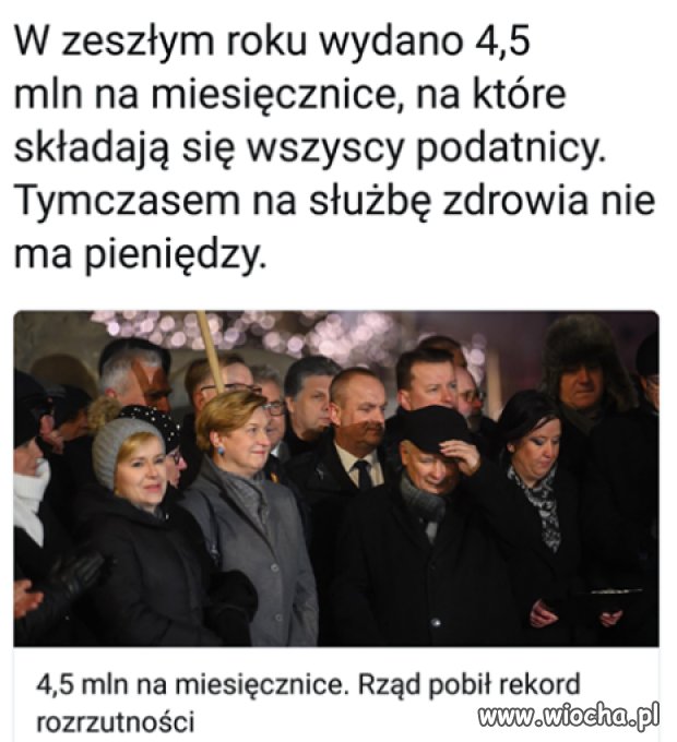 A ośmiorniczki były tylko