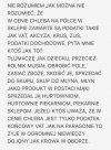 Ilu z was jest w stanie zrozumieć