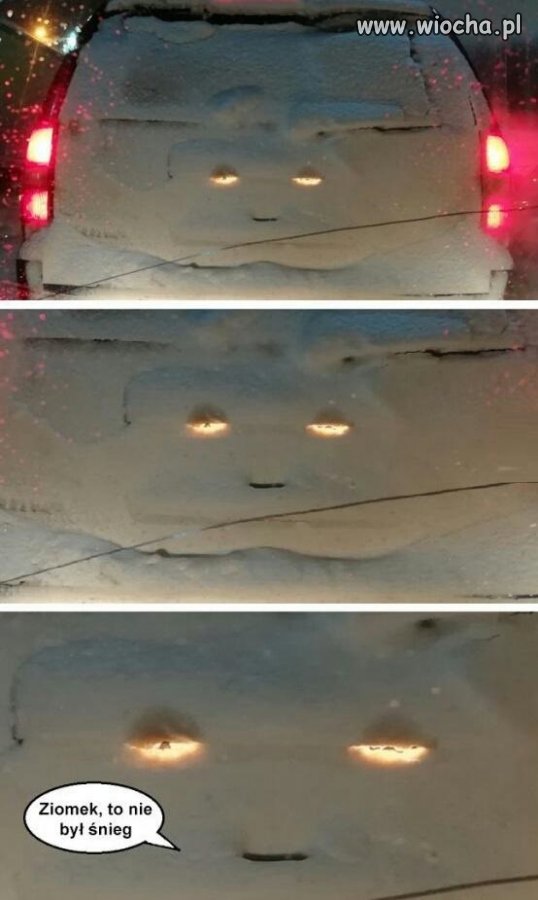 śnieg