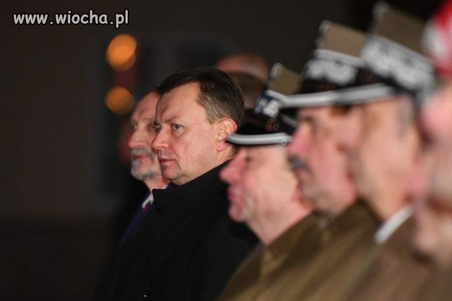 Żołnierze w gumofilcach szukają dzików i gubią się w lesie