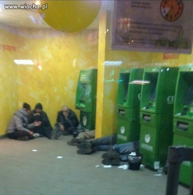 Żule potrafią wszędzie 