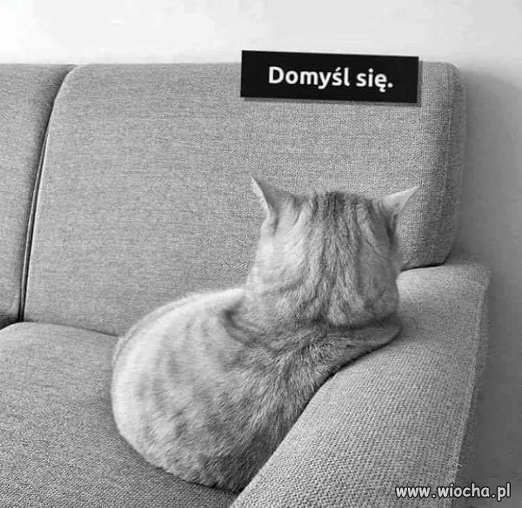 No właśnie. Domyśl się.