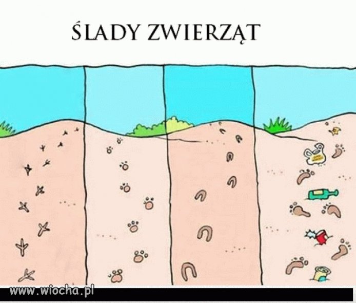 Niestety