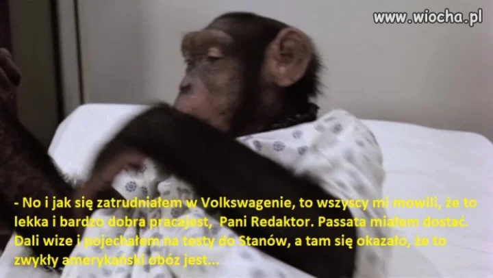 Praca w Volkswagenie