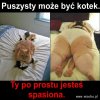 Puszysty