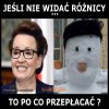 JEŚLI NIE WIDAĆ RÓŻNICY...