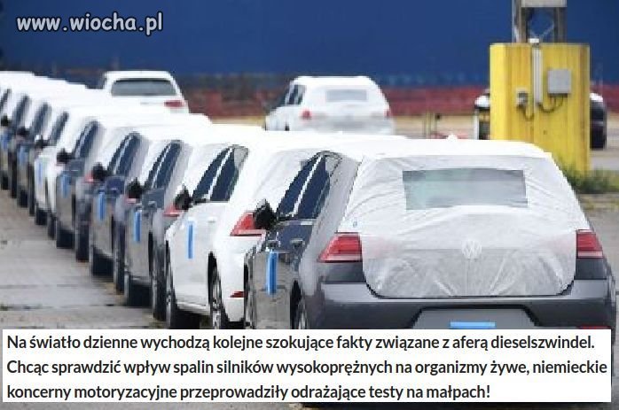 Niemieckie koncerny motoryzacyjne testują spaliny