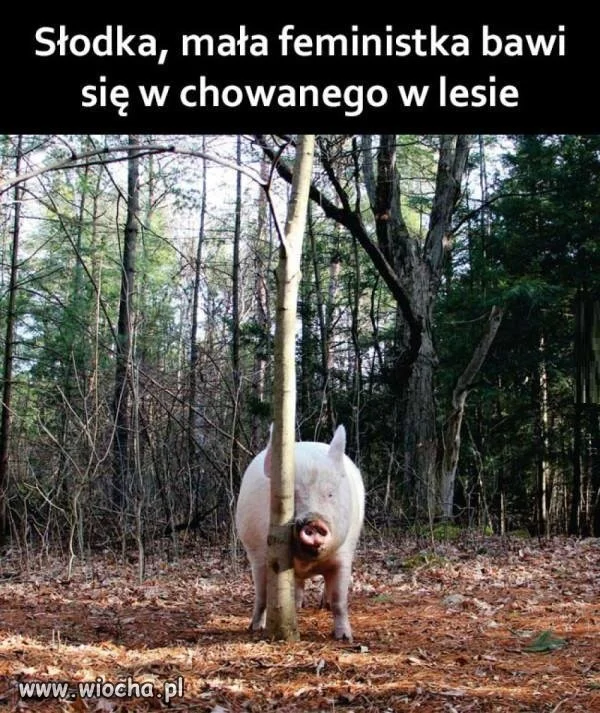 Ale słodziutka!