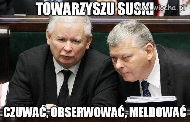 Dyspozycje wydane