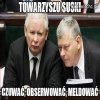 Dyspozycje wydane