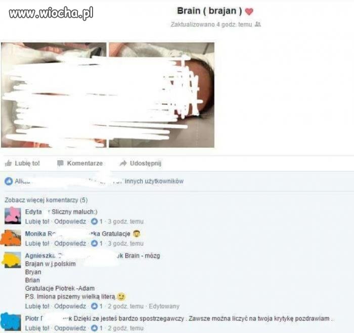Brajanek