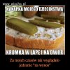Najlepsza kanapka 