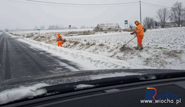 Myślisz że to zwykli "trawowi kosiarze"? A może to