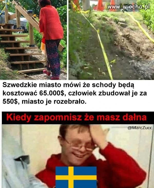 Szwedzi