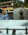 Niepełnosprawny 5-latek wjechał na Morskie Oko