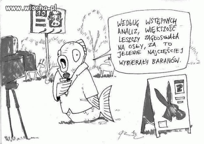 Wszystko na temat wyborów