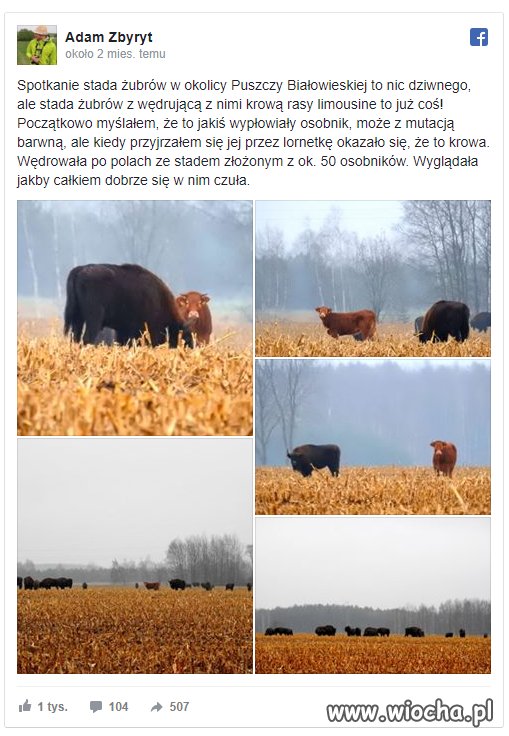 Takie zjawisko przyrodnicze
