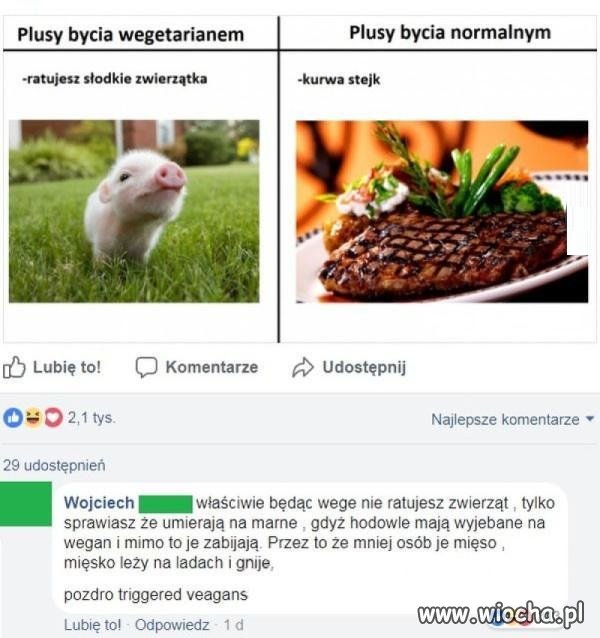 Szach mat, weganie!