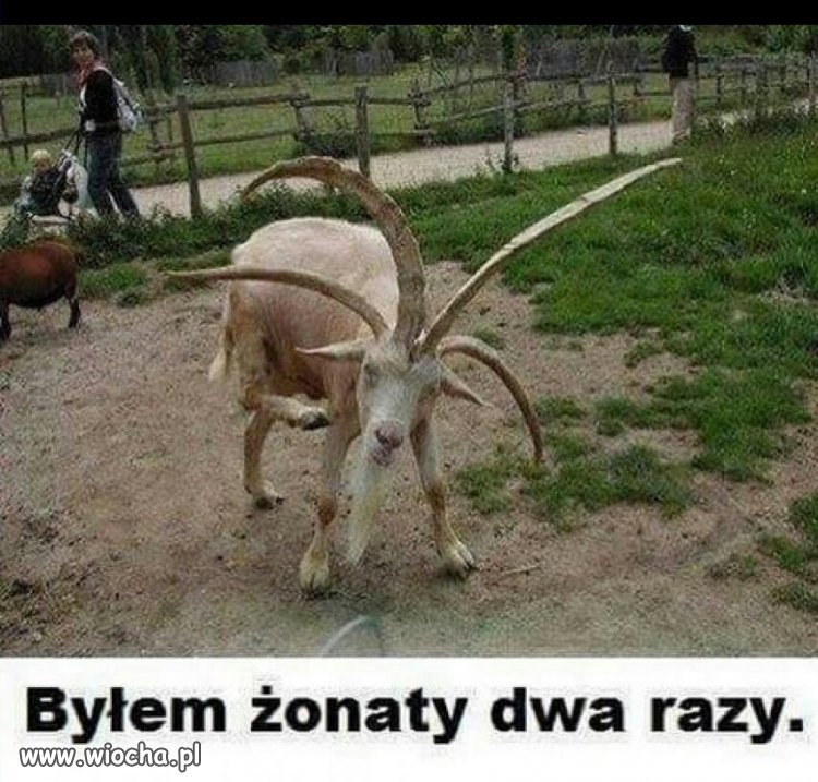 Nieudane zwiazki tak się kończą.