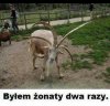 Nieudane zwiazki tak się kończą.