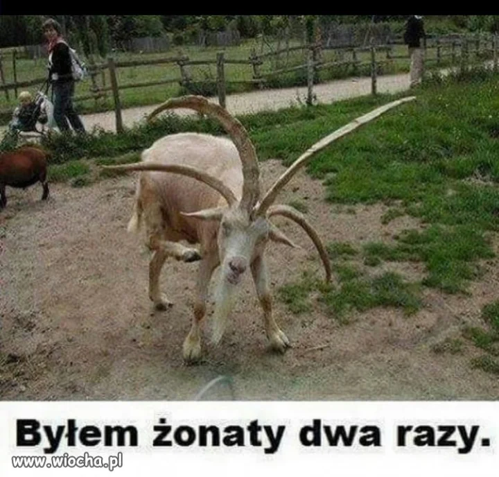 Nieudane zwiazki tak się kończą.