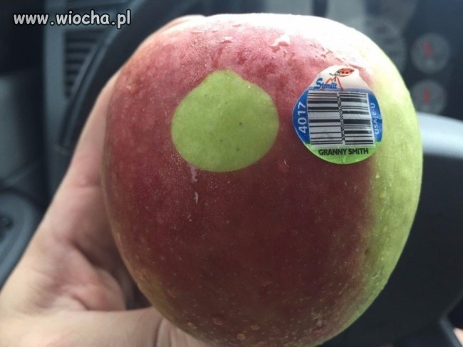 Świeże...