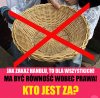 Jak wszyscy to wszyscy ...