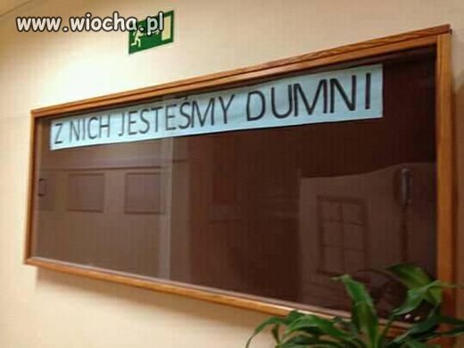 Heheszki polityczne