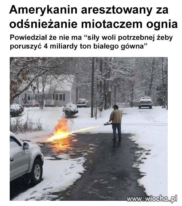 Pomysłowy