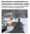 Pomysłowy
