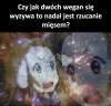 Kłótnia wegan