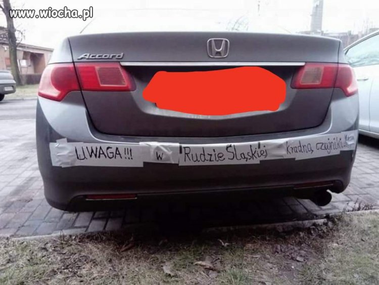 Polak potrafi 