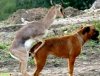 A co nie jest dozwolone?