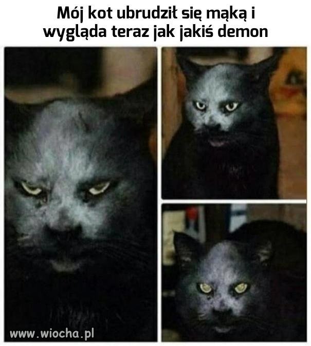 Niezły efekt